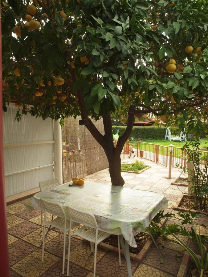 Moon-Light Studio Hotel Larnaca Ngoại thất bức ảnh