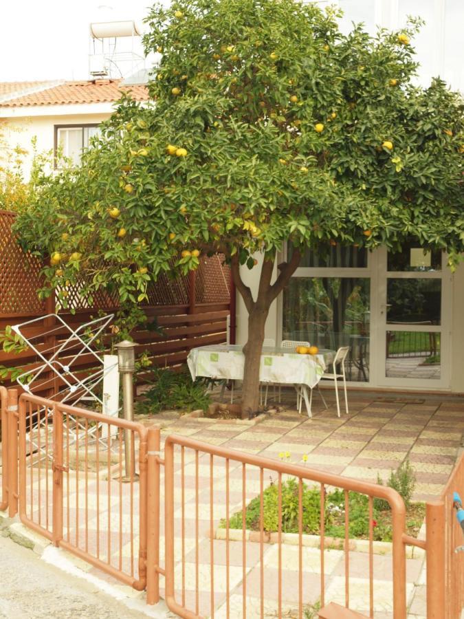 Moon-Light Studio Hotel Larnaca Ngoại thất bức ảnh