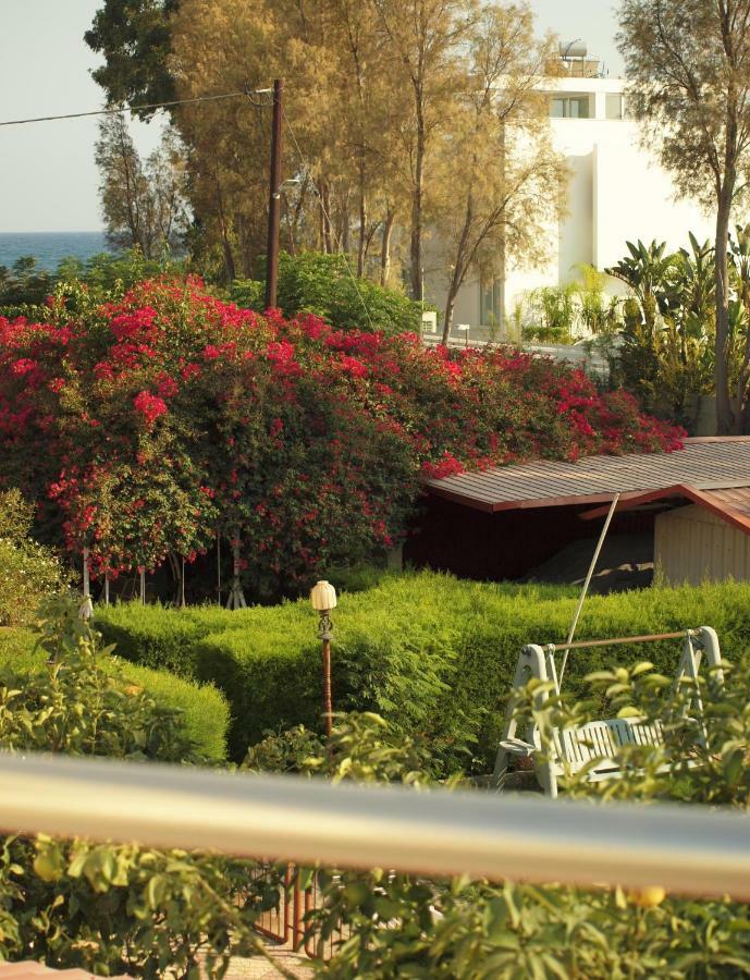 Moon-Light Studio Hotel Larnaca Ngoại thất bức ảnh