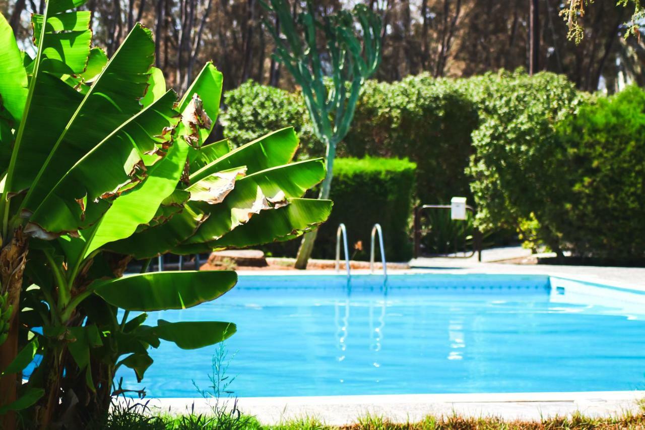 Moon-Light Studio Hotel Larnaca Ngoại thất bức ảnh